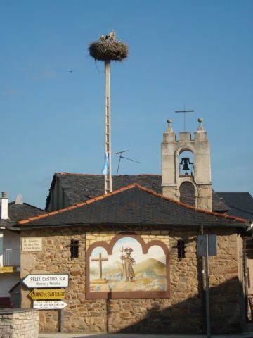 Camino de Santiago - looking up