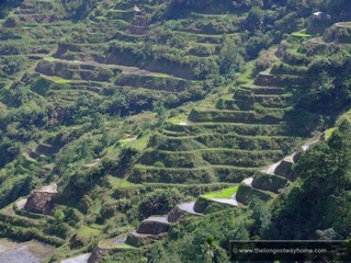 Rice Terraces in Banaue, Philippines
